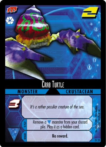 023 Crab Turtle
