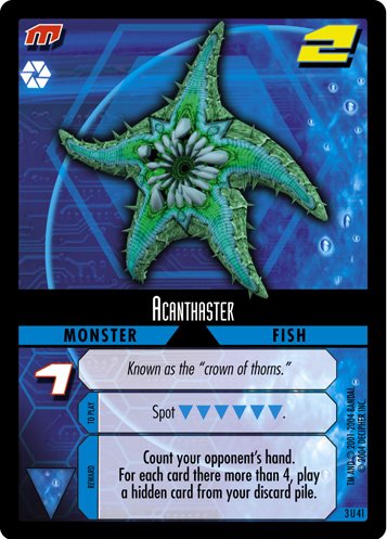 041 Acanthaster